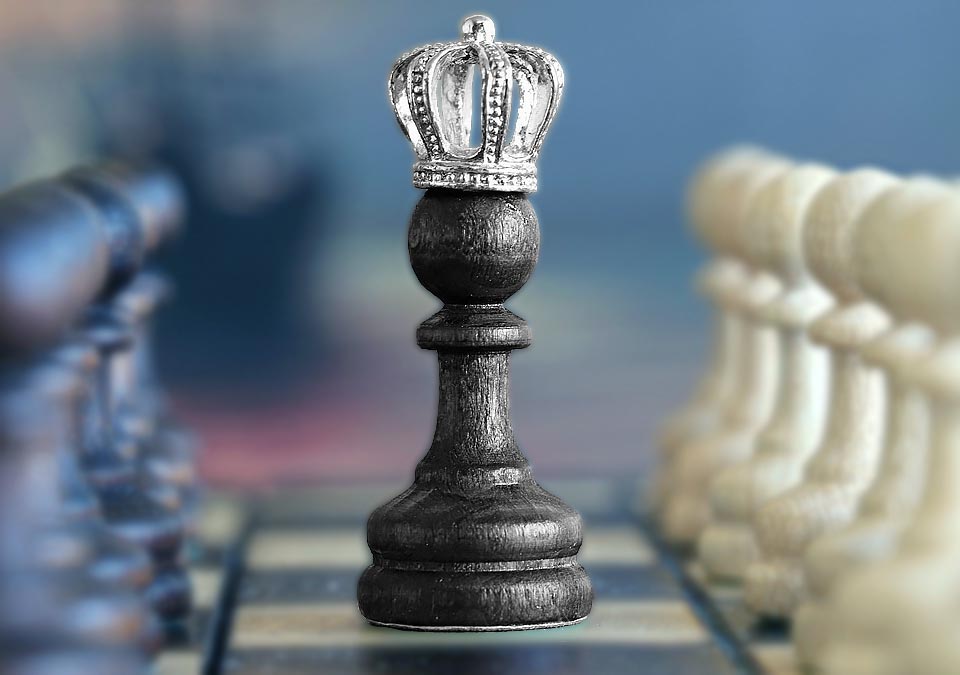 Drinpe, drinpe, Como vencer a concorrência