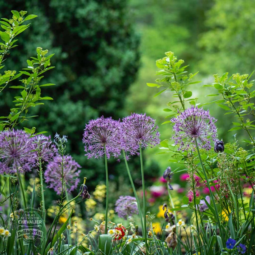Centro Hípico Eventos